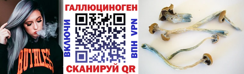 Купить где  Нижний Тагил  Псилоцибиновые грибы GOLDEN TEACHER 